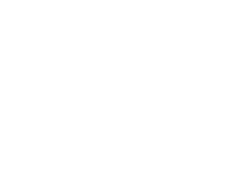 Youth Lab White Logo